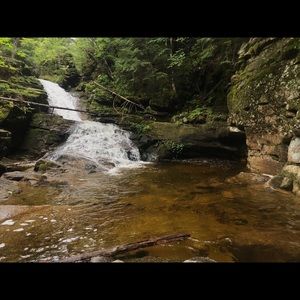 Meet your Posher, Cassandra